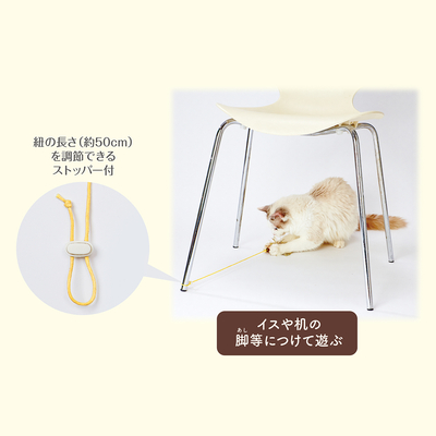 Happiness+Cat+ひもじゃらし+